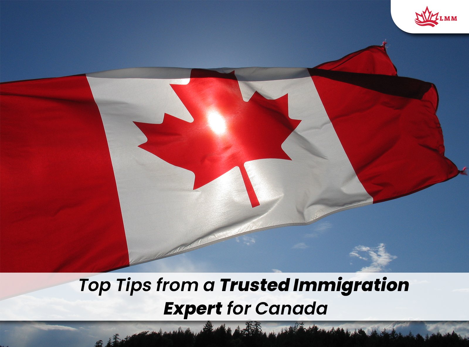 Top 5 Tips from a Trusted Immigration Expert for Canada