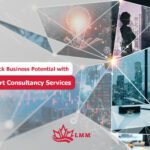Professional visa consultants providing expert consultancy services for global immigration success.