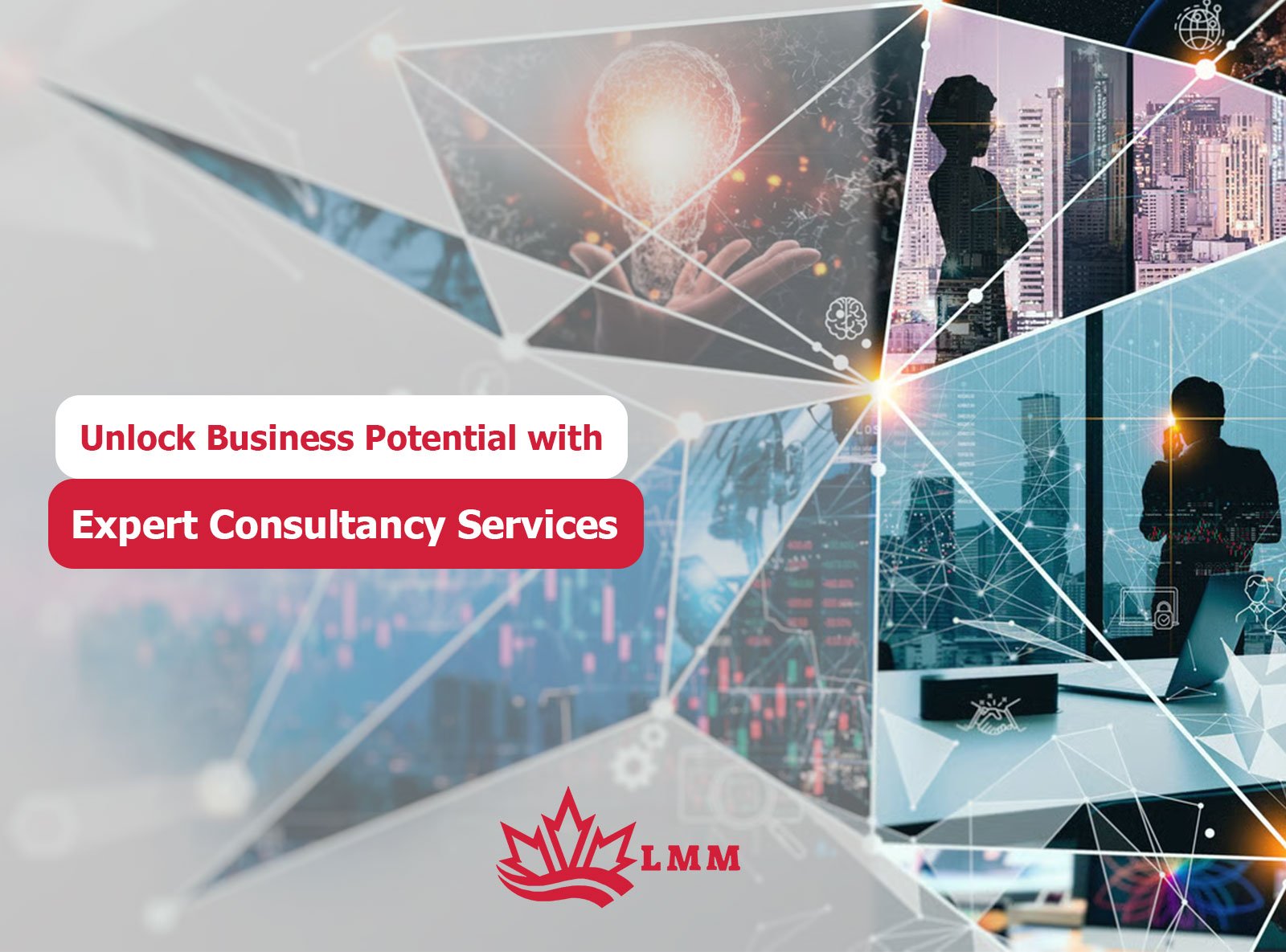 Unlock Remarkable Business Potential with Expert Consultancy Services