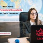 Top professional consultants at LMM providing expert Canadian and Australian visa consulting services.