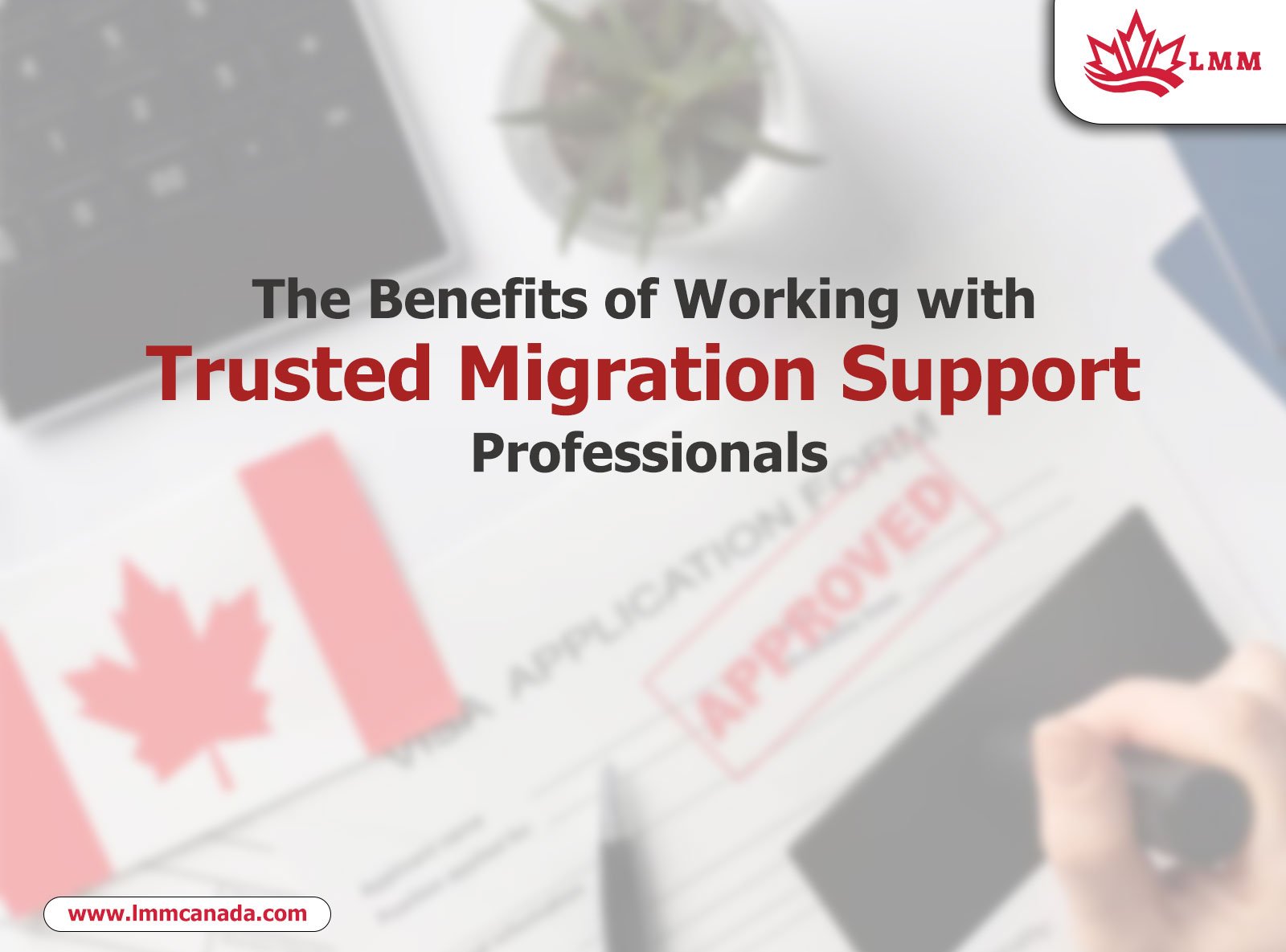 The Benefits of Working with Trusted Migration Support Professionals